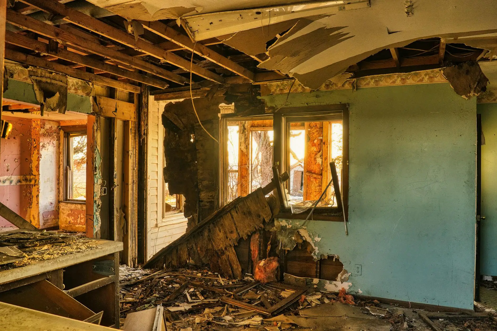 St. George's Trusted Mold Remediation Specialists — St. George, UT