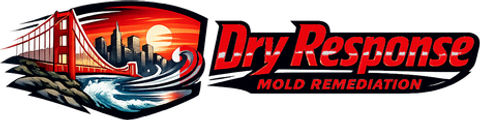Dry Response Mold Remediation